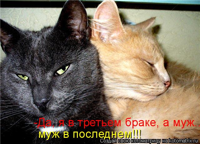 -Да, я в третьем браке, а муж.. муж в последнем!!!... Котоматрица: -Да, я в третьем браке, а муж.. муж в последнем!!!