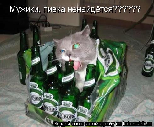 Мужики, пивка ненайдётся??????... Котоматрица: Мужики, пивка ненайдётся??????