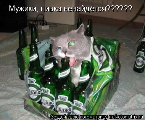 Котоматрица: Мужики, пивка ненайдётся??????