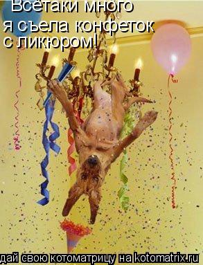 Всётаки много я съела конфеток с ликюром!... Котоматрица: Всётаки много я съела конфеток с ликюром!