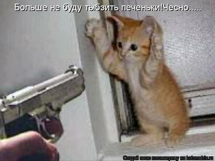 Больше не буду тыбзить печеньки!Чесно........ Котоматрица: Больше не буду тыбзить печеньки!Чесно.....