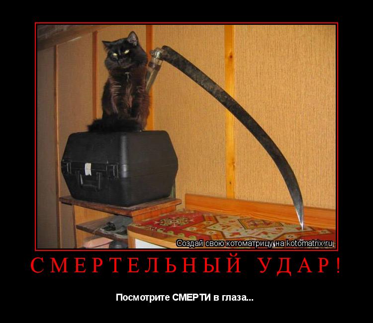 Смертельный удар! Посмотрите СМЕРТИ в глаза... ... Котоматрица: Смертельный удар! Посмотрите СМЕРТИ в глаза...