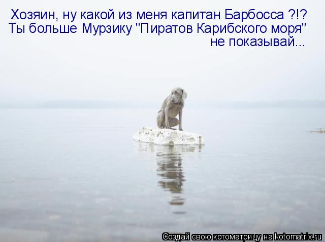 Хозяин, ну какой из меня капитан Барбосса ?!? Ты больше Мурзику "Пиратов Карибского моря" не показыв... Котоматрица: Хозяин, ну какой из меня капитан Барбосса ?!? Ты больше Мурзику "Пиратов Карибского моря" не показывай...