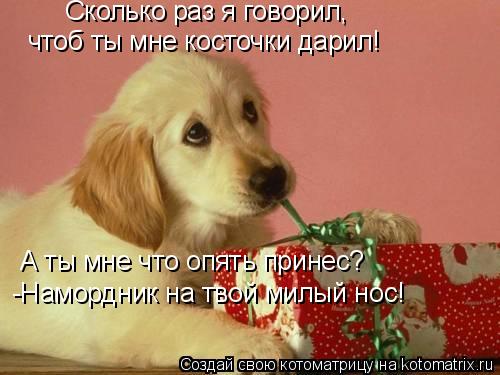 Сколько раз я говорил, чтоб ты мне косточки дарил! А ты мне что опять принес? -Намордник на твой милы... Котоматрица: Сколько раз я говорил, чтоб ты мне косточки дарил! А ты мне что опять принес? -Намордник на твой милый нос!