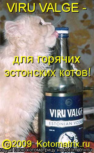 VIRU VALGE - для горячих эстонских котов! с 2009 Kotomatrix.ru O... Котоматрица: VIRU VALGE - для горячих эстонских котов! с 2009 Kotomatrix.ru O