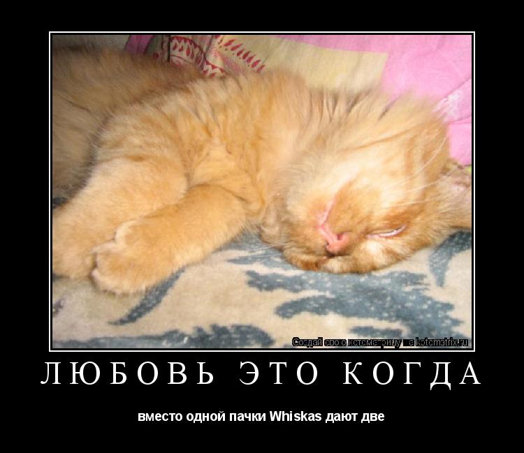 ЛЮБОВЬ ЭТО КОГДА вместо одной пачки Whiskas дают две... Котоматрица: ЛЮБОВЬ ЭТО КОГДА вместо одной пачки Whiskas дают две