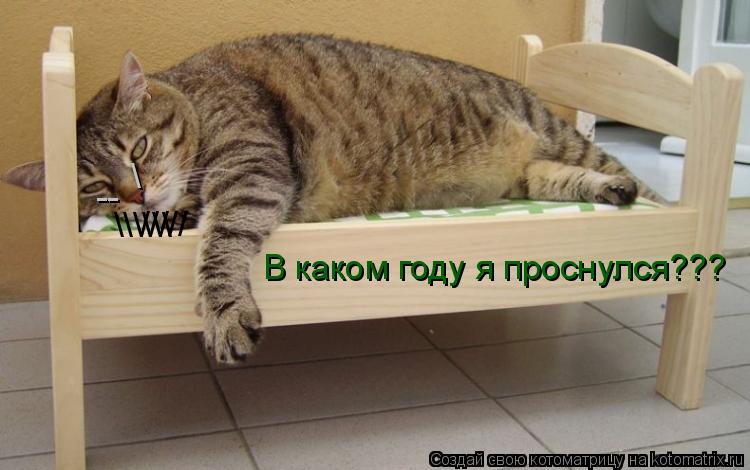 В каком году я проснулся??? -- \\\ /////... Котоматрица: В каком году я проснулся??? -- \\\ /////
