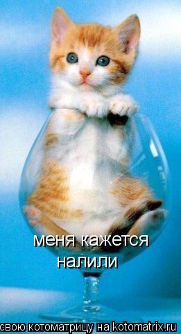 меня кажется налили... Котоматрица: меня кажется налили