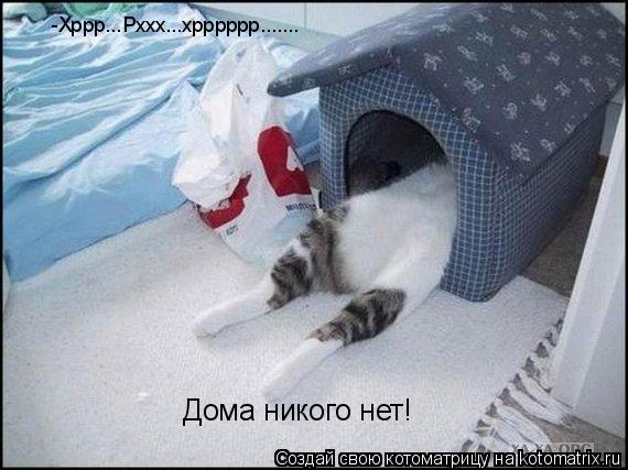 Дома никого нет! -Хррр...Рххх...хрррррр.......... Котоматрица: Дома никого нет! -Хррр...Рххх...хрррррр.......