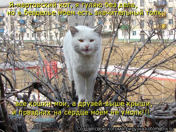 Я-мартовский кот, я гуляю без дела, но в безделье моем есть значительный толк: все кошки-мои, а друзе... Котоматрица: Я-мартовский кот, я гуляю без дела, но в безделье моем есть значительный толк: все кошки-мои, а друзей-выше крыши, и праздник на сердце моем не