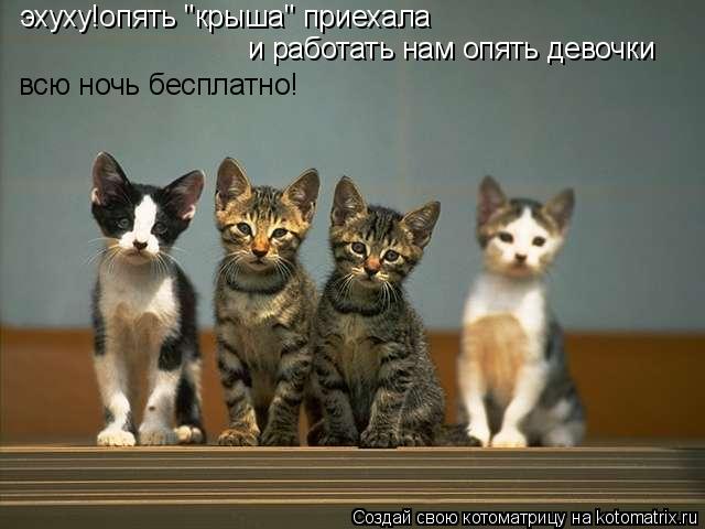 эхуху!опять "крыша" приехала и работать нам опять девочки всю ночь бесплатно!... Котоматрица: эхуху!опять "крыша" приехала и работать нам опять девочки всю ночь бесплатно!
