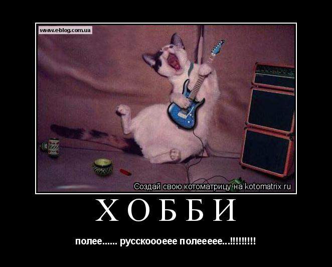 хобби полее...... русскоооеее полеееее...!!!!!!!!!... Котоматрица: хобби полее...... русскоооеее полеееее...!!!!!!!!!