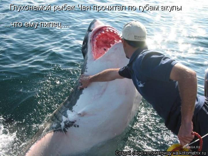 Котоматрица: Глухонемой рыбак Чен прочитал по губам акулы ...что ему пипец....