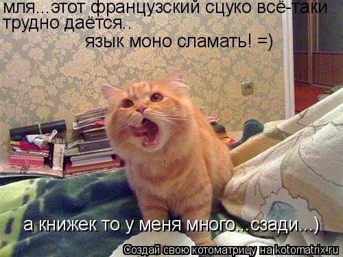 мля...этот французский сцуко всё-таки трудно даётся.. язык моно сламать! =) а книжек то у меня много.... Котоматрица: мля...этот французский сцуко всё-таки трудно даётся.. язык моно сламать! =) а книжек то у меня много...сзади...)
