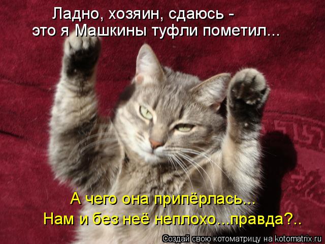 это я Машкины туфли пометил... Ладно, хозяин, сдаюсь - А чего она припёрлась... Нам и без неё неплохо... Котоматрица: это я Машкины туфли пометил... Ладно, хозяин, сдаюсь - А чего она припёрлась... Нам и без неё неплохо...правда?..