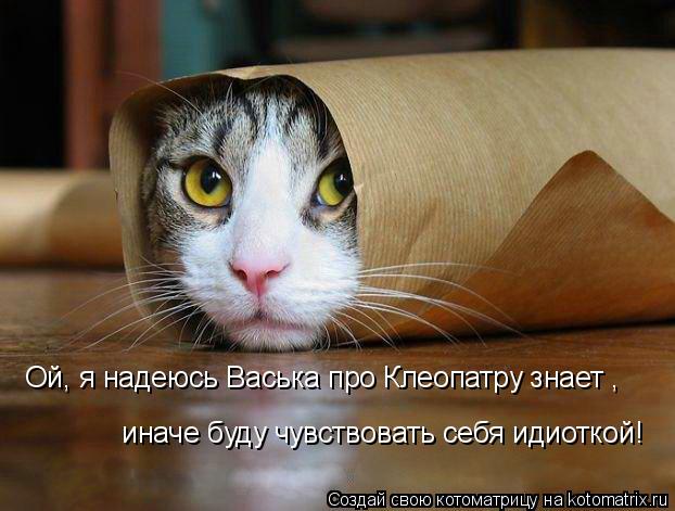 Ой, я надеюсь Васька про Клеопатру знает , иначе буду чувствовать себя идиоткой!... Котоматрица: Ой, я надеюсь Васька про Клеопатру знает , иначе буду чувствовать себя идиоткой!
