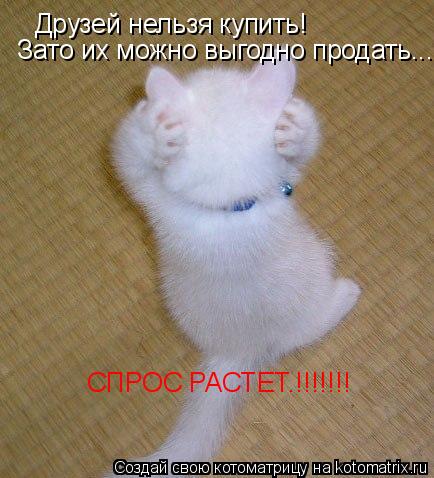 Друзей нельзя купить! Зато их можно выгодно продать..... СПРОС РАСТЕТ.!!!!!!!... Котоматрица: Друзей нельзя купить! Зато их можно выгодно продать..... СПРОС РАСТЕТ.!!!!!!!
