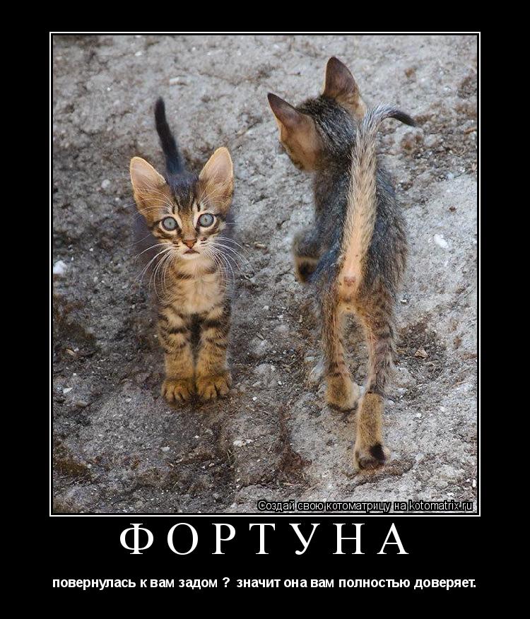 фортуна повернулась к вам задом ? значит она вам полностью доверяет.... Котоматрица: фортуна повернулась к вам задом ? значит она вам полностью доверяет.