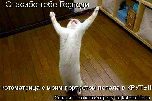 Спасибо тебе Господи котоматрица с моим портретом попала в КРУТЬ!!!!... Котоматрица: Спасибо тебе Господи котоматрица с моим портретом попала в КРУТЬ!!!!