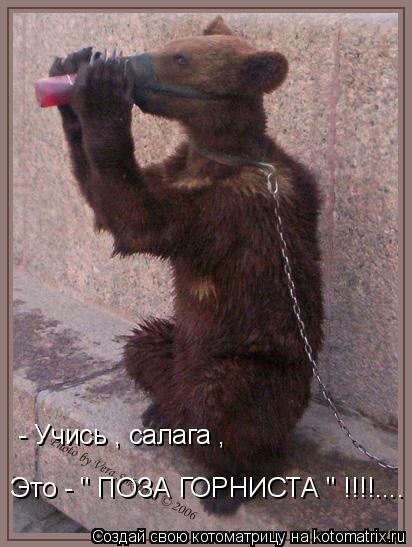 - Учись , салага , Это - " ПОЗА ГОРНИСТА " !!!!....... Котоматрица: - Учись , салага , Это - " ПОЗА ГОРНИСТА " !!!!....
