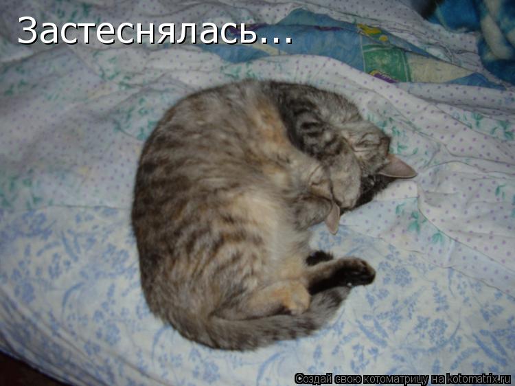 Застеснялась...... Котоматрица: Застеснялась...