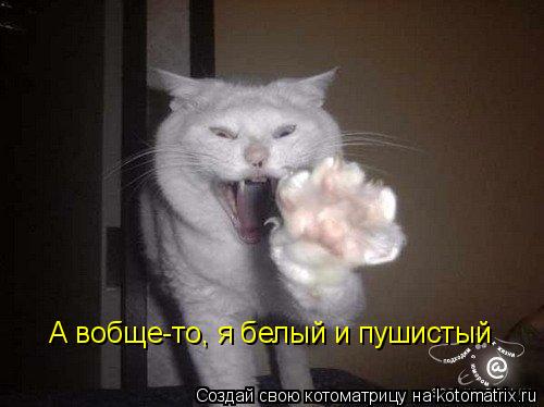 А вобще-то, я белый и пушистый... Котоматрица: А вобще-то, я белый и пушистый