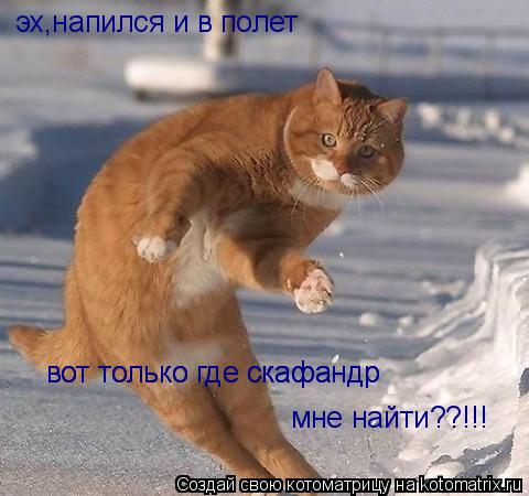 эх,напился и в полет вот только где скафандр вот только где скафандр мне найти??!!!... Котоматрица: эх,напился и в полет вот только где скафандр вот только где скафандр мне найти??!!!
