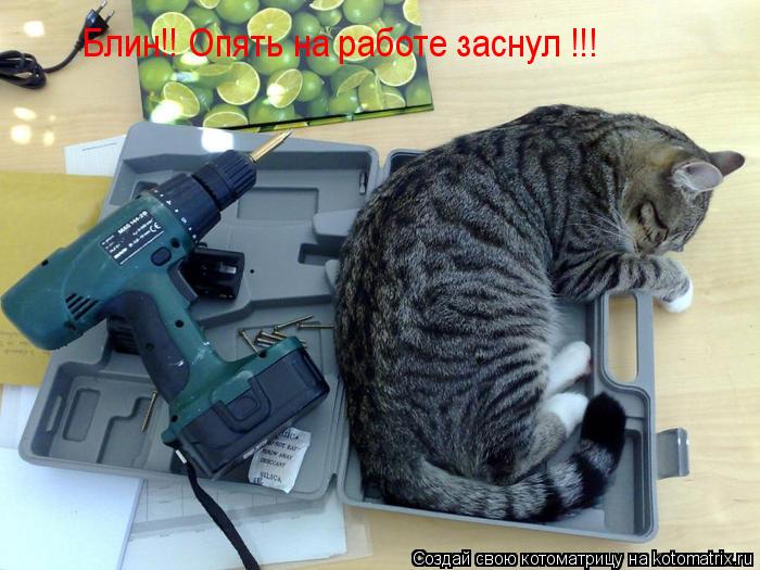 Блин!! Опять на работе заснул !!!... Котоматрица: Блин!! Опять на работе заснул !!!