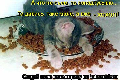 А что не съем, то понадкусывю... Ти дивись, таке мале, а вже - хохол!... Котоматрица: А что не съем, то понадкусывю... Ти дивись, таке мале, а вже - хохол!