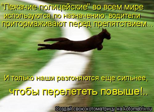 чтобы перелететь повыше!.. И только наши разгоняются еще сильнее, "Лежачие полицейские" во всем мире ... Котоматрица: чтобы перелететь повыше!.. И только наши разгоняются еще сильнее, "Лежачие полицейские" во всем мире используются по назначению: водители пр