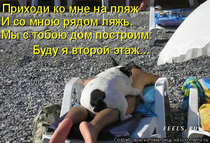 Приходи ко мне на пляж И со мною рядом ляжь. Мы с тобою дом построим: Буду я второй этаж...... Котоматрица: Приходи ко мне на пляж И со мною рядом ляжь. Мы с тобою дом построим: Буду я второй этаж...
