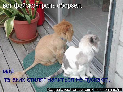 вот фэйсконтроль оборзел... мда, та-аких стиляг напиться не пускают...... Котоматрица: вот фэйсконтроль оборзел... мда, та-аких стиляг напиться не пускают...
