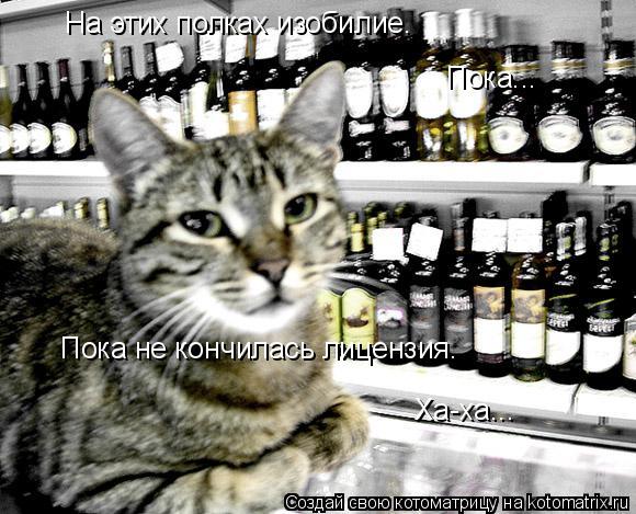 На этих полках изобилие. Пока... Пока не кончилась лицензия. Ха-ха...... Котоматрица: На этих полках изобилие. Пока... Пока не кончилась лицензия. Ха-ха...