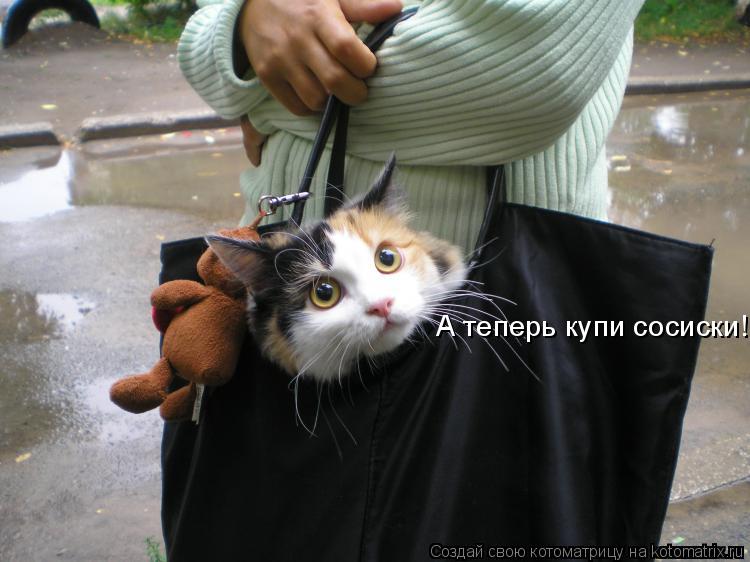 А теперь купи сосиски!... Котоматрица: А теперь купи сосиски!