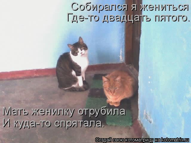 Собирался я жениться Где-то двадцать пятого. Мать женилку отрубила И куда-то спрятала.... Котоматрица: Собирался я жениться Где-то двадцать пятого. Мать женилку отрубила И куда-то спрятала.