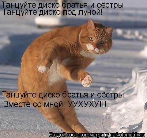 Танцуйте диско братья и сёстры Танцуйте диско под луной! Танцуйте диско братья и сёстры Вместе со мн... Котоматрица: Танцуйте диско братья и сёстры Танцуйте диско под луной! Танцуйте диско братья и сёстры Вместе со мной! УУХУХУ!!!