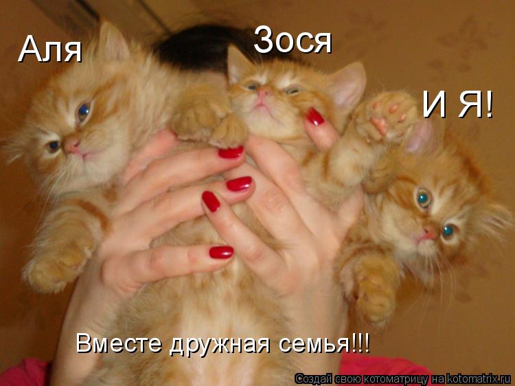Аля Зося И Я! Вместе дружная семья!!!... Котоматрица: Аля Зося И Я! Вместе дружная семья!!!