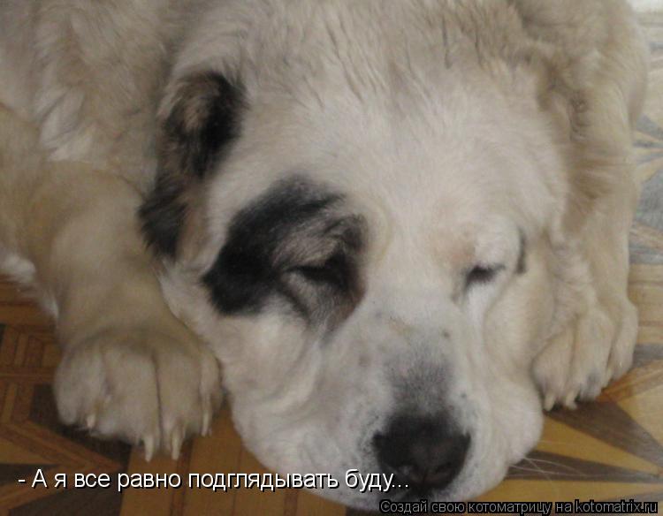 - А я все равно подглядывать буду...... Котоматрица: - А я все равно подглядывать буду...
