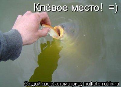 Клёвое место! =)... Котоматрица: Клёвое место! =)