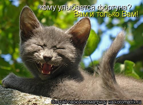 кому улыбается фортуна? Вам и только Вам!... Котоматрица: кому улыбается фортуна? Вам и только Вам!