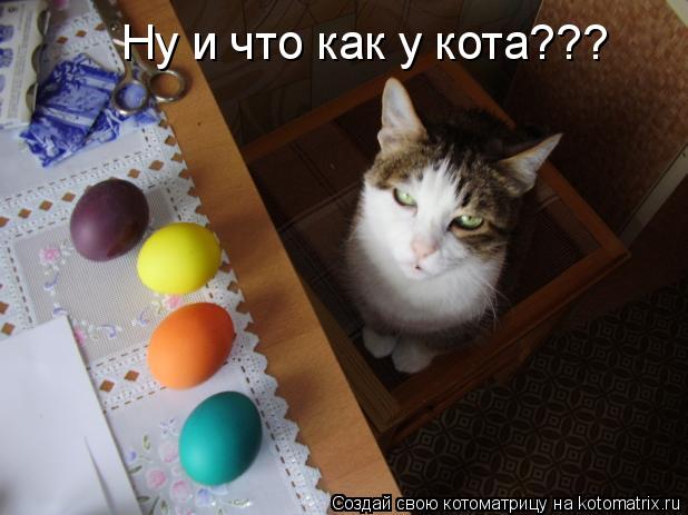 Ну и что как у кота???... Котоматрица: Ну и что как у кота???