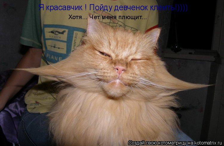 Я красавчик ! Пойду девченок клеить!)))) Хотя... Чет меня плющит...... Котоматрица: Я красавчик ! Пойду девченок клеить!)))) Хотя... Чет меня плющит...