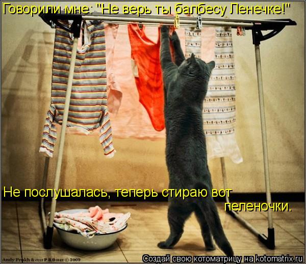 Не послушалась, теперь стираю вот пеленочки. Говорили мне: "Не верь ты балбесу Ленечке!"... Котоматрица: Не послушалась, теперь стираю вот пеленочки. Говорили мне: "Не верь ты балбесу Ленечке!"