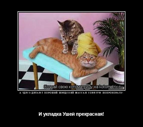 А здесь делают хороший шведский массаж советую попробовать! И укладка Ушей прекрасная!... Котоматрица: А здесь делают хороший шведский массаж советую попробовать! И укладка Ушей прекрасная!