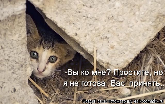 -Вы ко мне? Простите, но -Вы ко мне? Простите, но я не готова Вас принять...... Котоматрица: -Вы ко мне? Простите, но -Вы ко мне? Простите, но я не готова Вас принять...