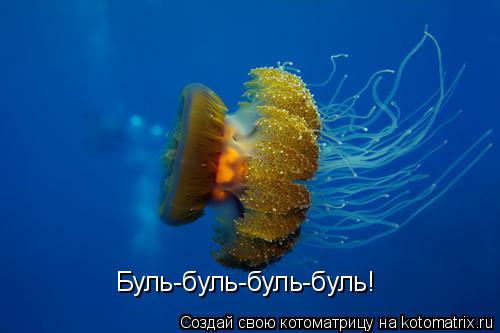 Буль-буль-буль-буль!... Котоматрица: Буль-буль-буль-буль!