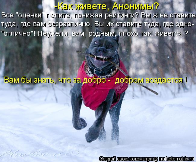 -Как живете, Анонимы? Все "оценки" лепите, понижая рейтинги? Вы ж не ставите Вам бы знать, что за доб... Котоматрица: -Как живете, Анонимы? Все "оценки" лепите, понижая рейтинги? Вы ж не ставите Вам бы знать, что за добро - добром воздается ! туда, где вам безраз