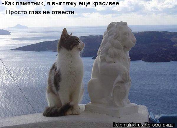 Просто глаз не отвести. -Как памятник, я выгляжу еще красивее.... Котоматрица: Просто глаз не отвести. -Как памятник, я выгляжу еще красивее.