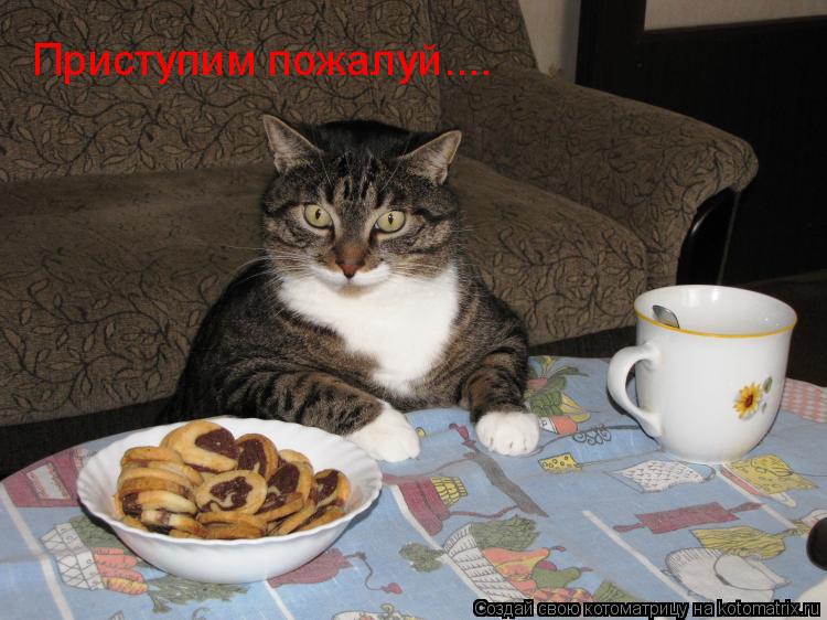 Приступим пожалуй....... Котоматрица: Приступим пожалуй....