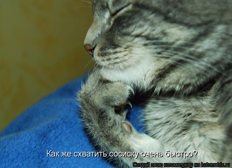 Как же схватить сосиску очень быстро?... Котоматрица: Как же схватить сосиску очень быстро?